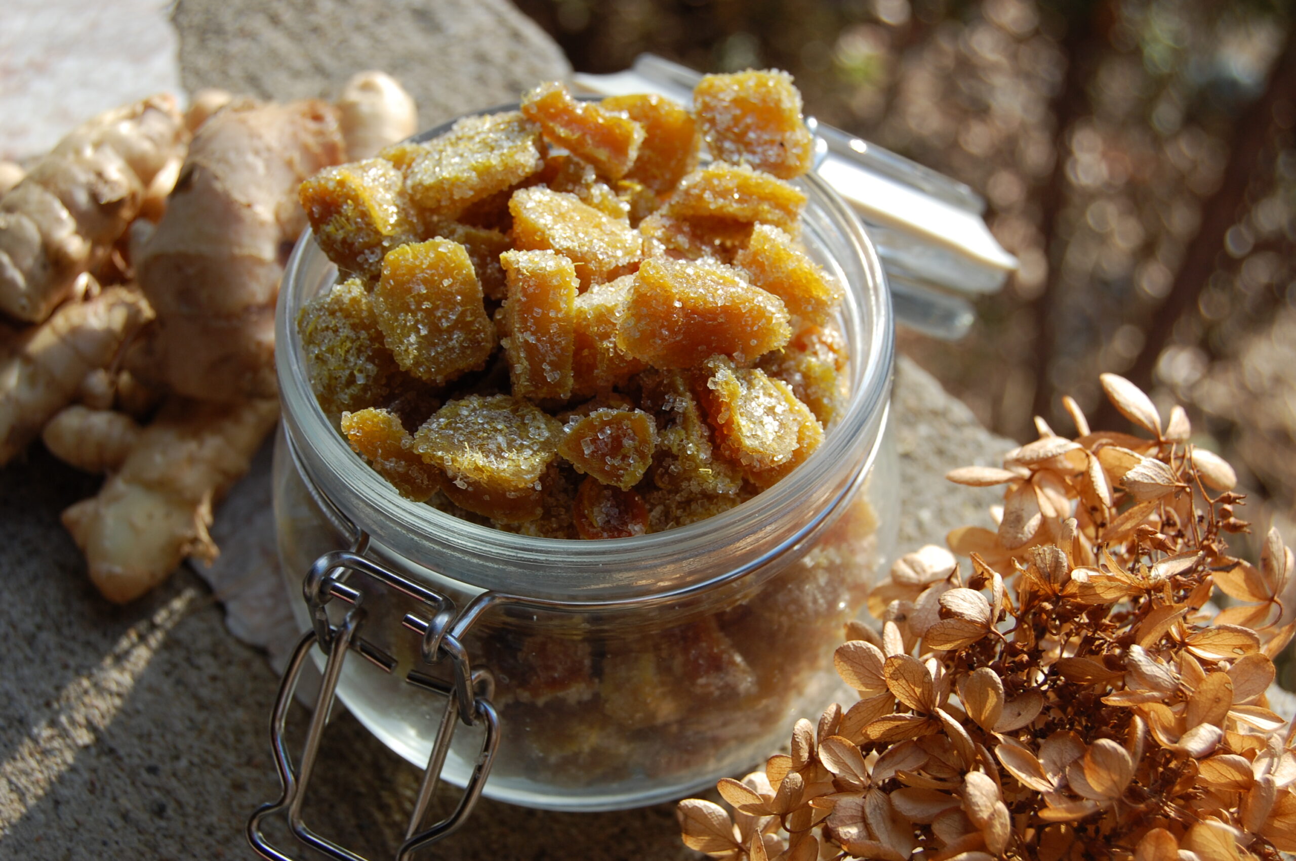 candied ginger