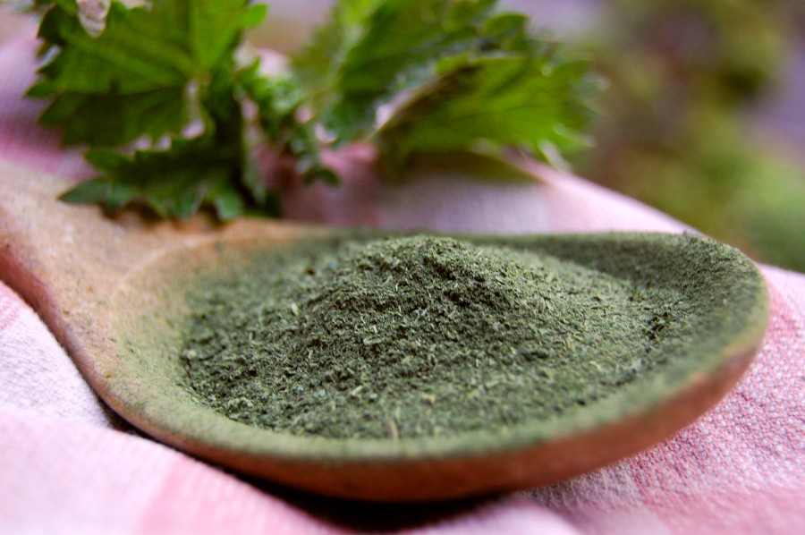 nettle powder