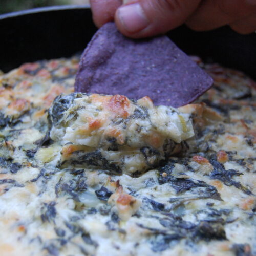 wild spinach artichoke dip