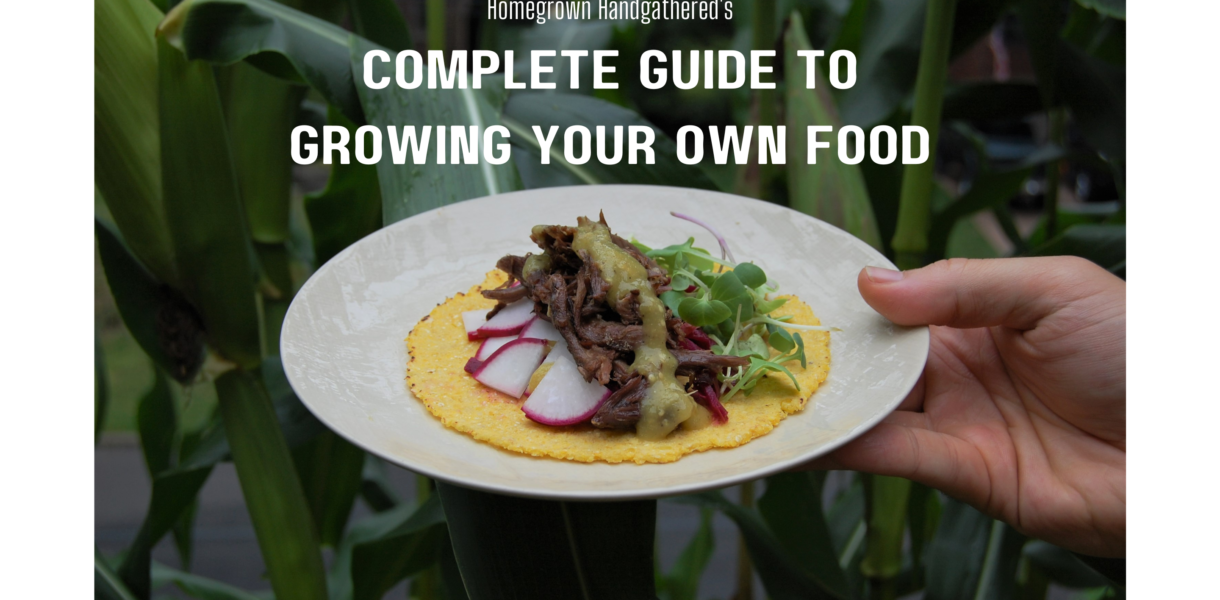 complete guide to growing your own food cover