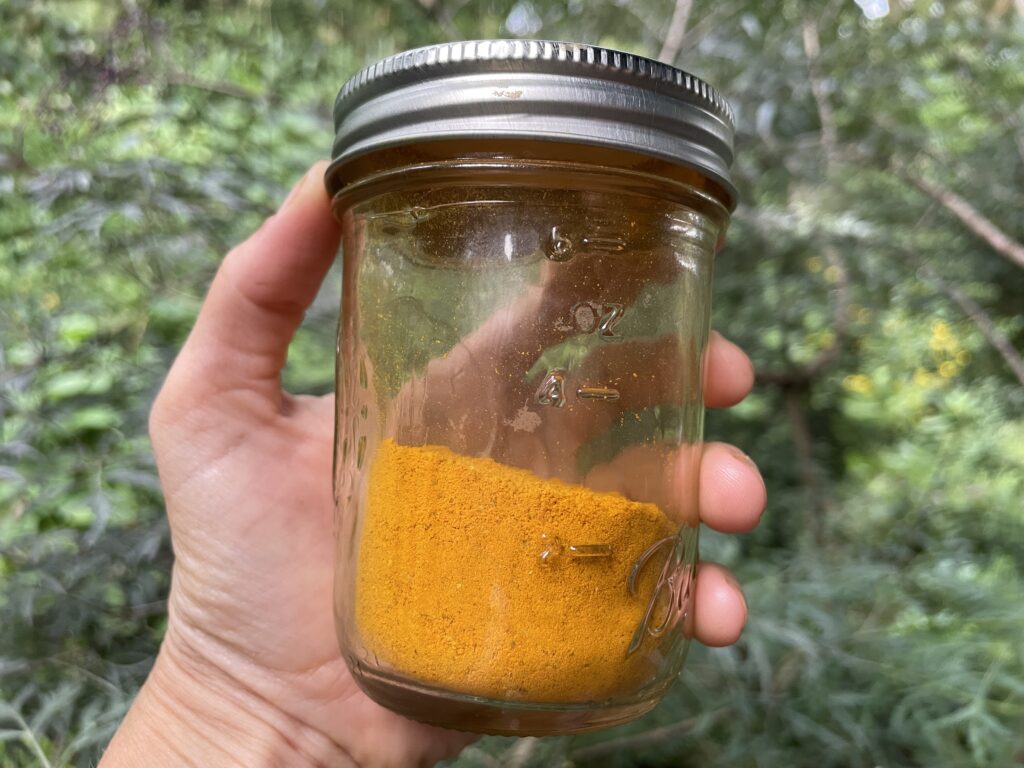 dried turmeric powder