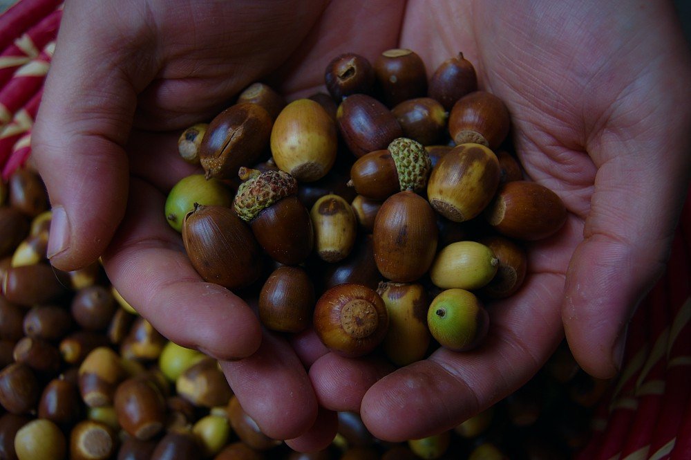 wapsie valley corn and cherokee trail of tears black beans